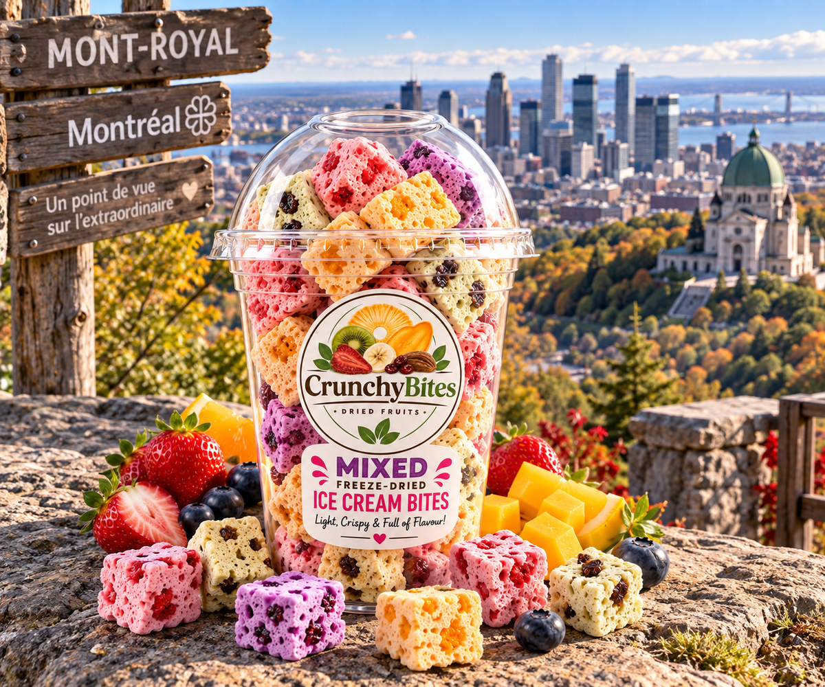 Mixed Freeze-Dried Ice Cream Bites / Bouchées de Crème Glacée Lyophilisées